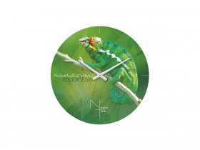 Часы настенные Nicole Time NT503 в Звёздочке - zvyozdochka.mebel-nsk.ru | фото