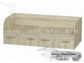 Кровать детская Сенди КР-01 (BTS) в Звёздочке - zvyozdochka.mebel-nsk.ru | фото